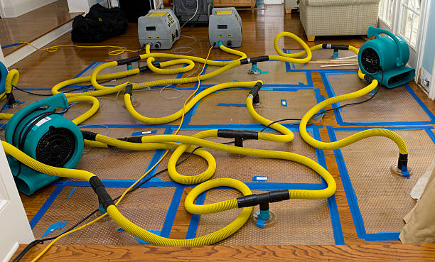 Professional Structural Drying And Dehumidification technician working in Good Hope, CA